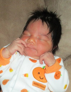 2017-10-15_Elaina_Willow.jpg Image