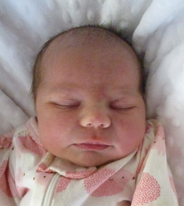 2023-12-20_Emery_Elise.jpg Image