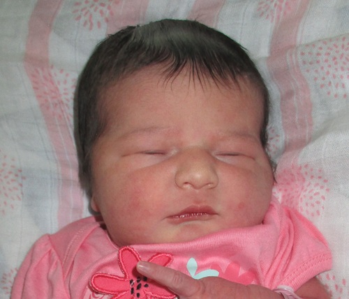 2025-06-19_Sophia_Elizabeth.jpg Image