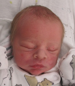 2025-09-18_Beau_Daniel.jpg Image