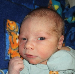 2025-10-06_Juddson_Frank.jpg Image