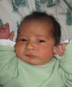 2025-11-24_Maurice_Henry.jpg Image