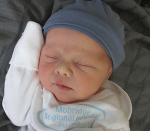 2026-03-23_Ambrose_Alexander.png Image