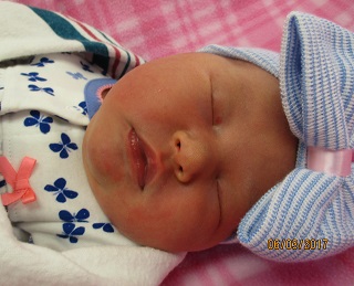 6-2-17_Ella_Westlyn.jpg Image