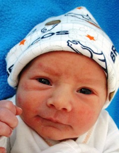 Daksten_Daniel_5-2-17.jpg Image