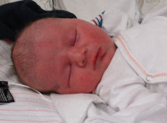 Hank_James_9-12-2016.jpg Image