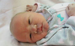 Linnea_Mae_11302015.jpg Image