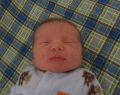 Zane_Lee_11232015_002.jpg Image